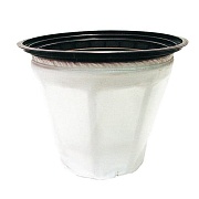 Фильтр-корзина в сборе IPC/Soteco. 02943KTRI