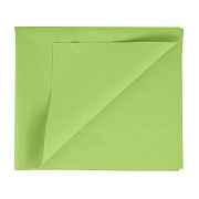 Микроспан МС80-74 зеленый салфетка 34х40см