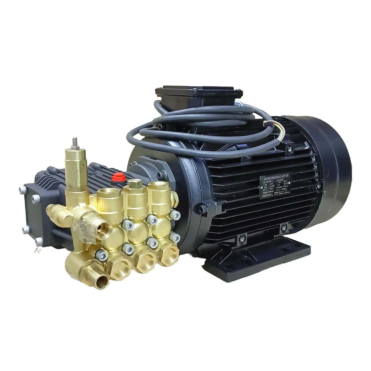 WD 7.5-1814-1 Моноблок (мотор-помпа) WD 7,5-1814