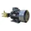 WD 7.5-1814-2 Моноблок (мотор-помпа) WD 7,5-1814