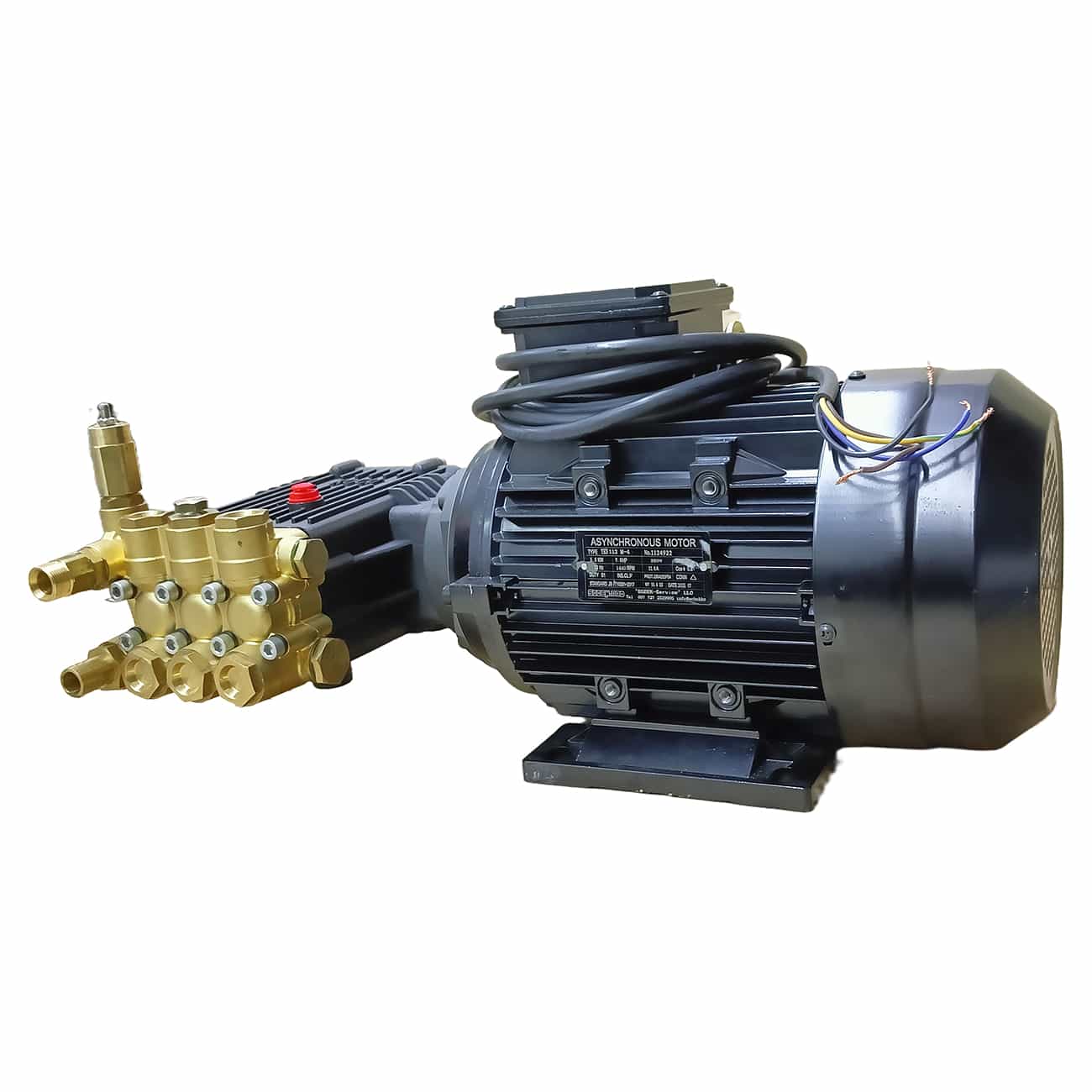 Моноблок (мотор-помпа) WD 5,5-1814